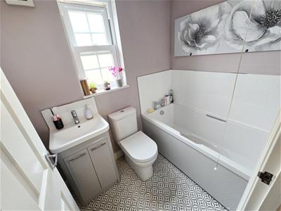 Picture 14